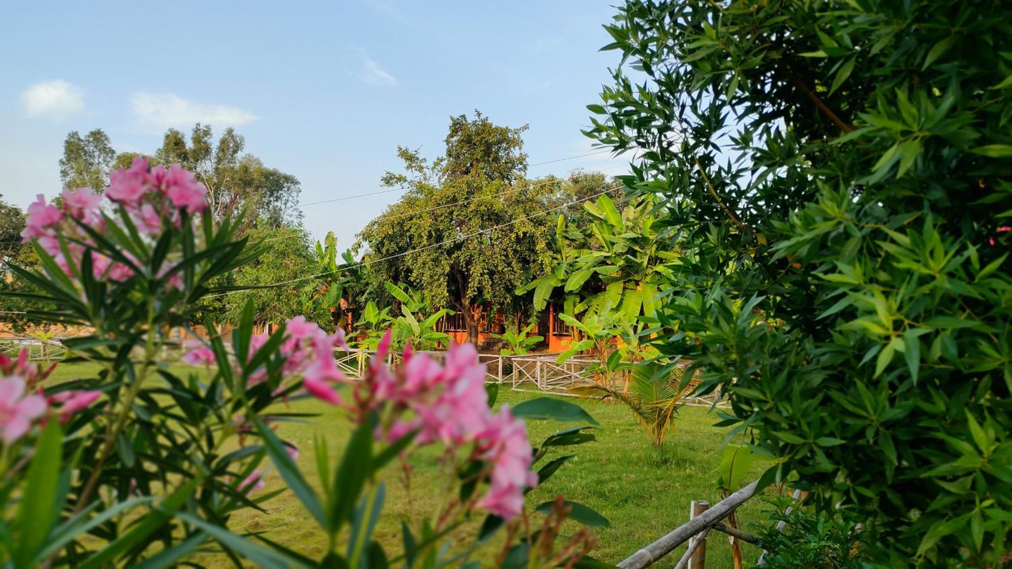 Waterfall Guesthouse Хампи Экстерьер фото